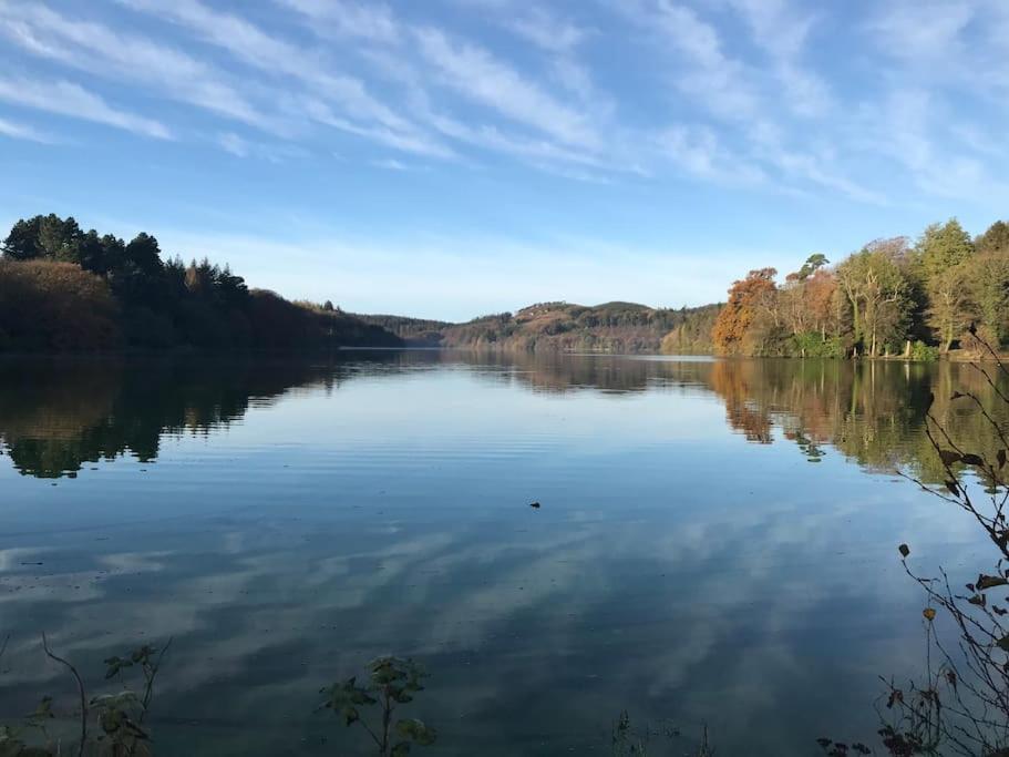 Homestay Forest View - Castlewellan, County Down Belfast