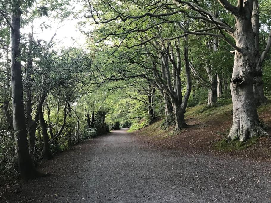 Forest View - Castlewellan, County Down Homestay *